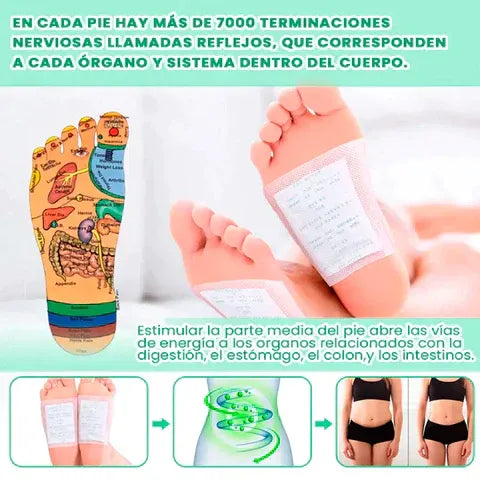 Parches desintoxicantes para pies